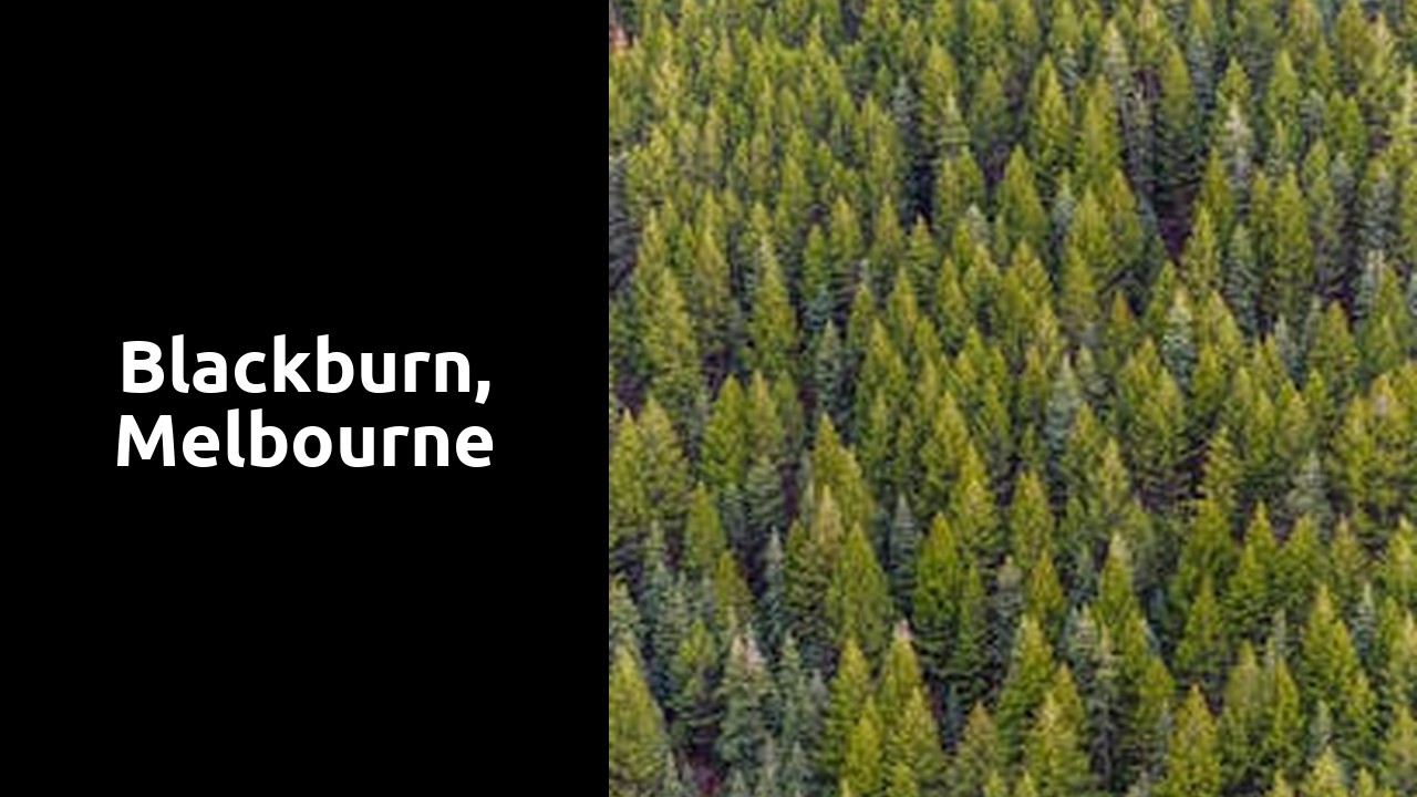 Blackburn, Melbourne