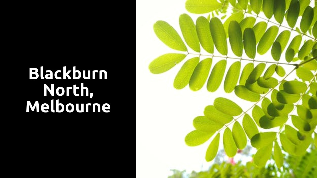 Blackburn North, Melbourne