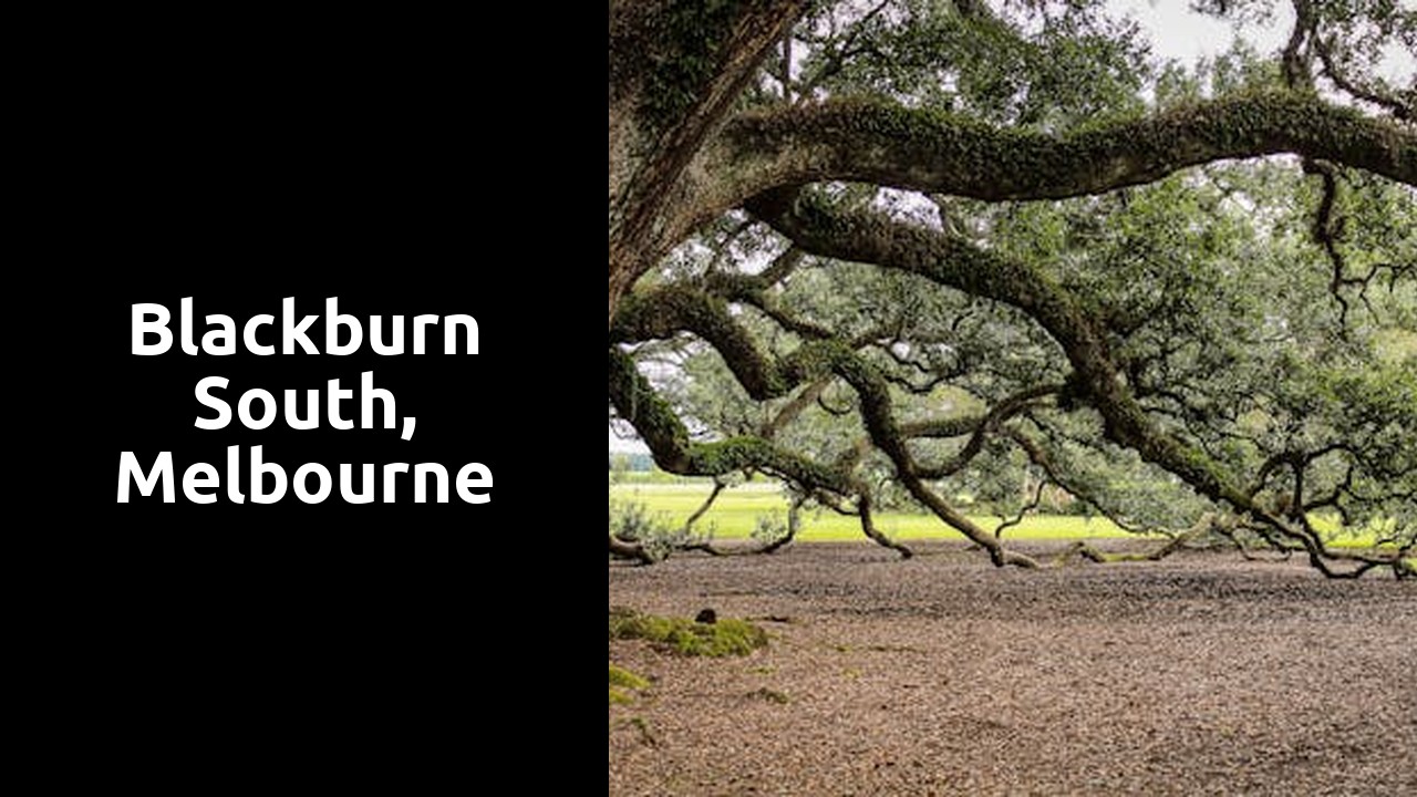 Blackburn South, Melbourne