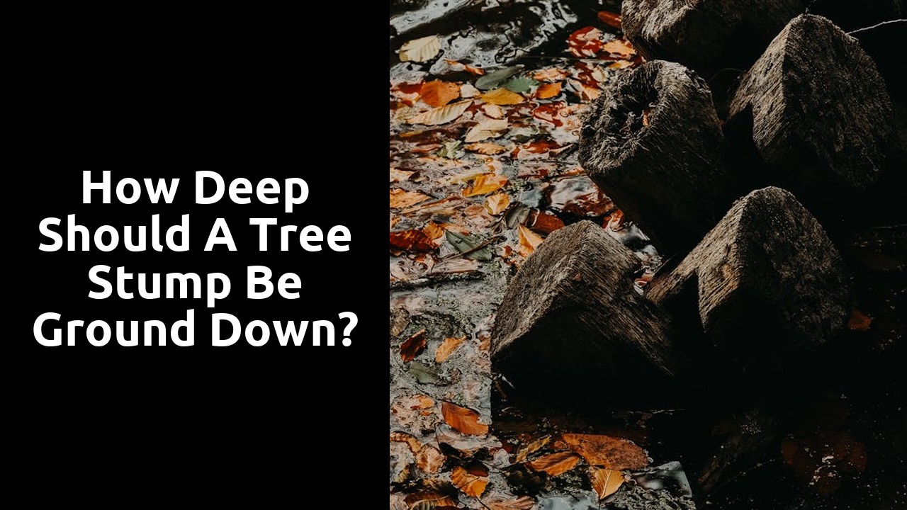 How deep should a tree stump be ground down?