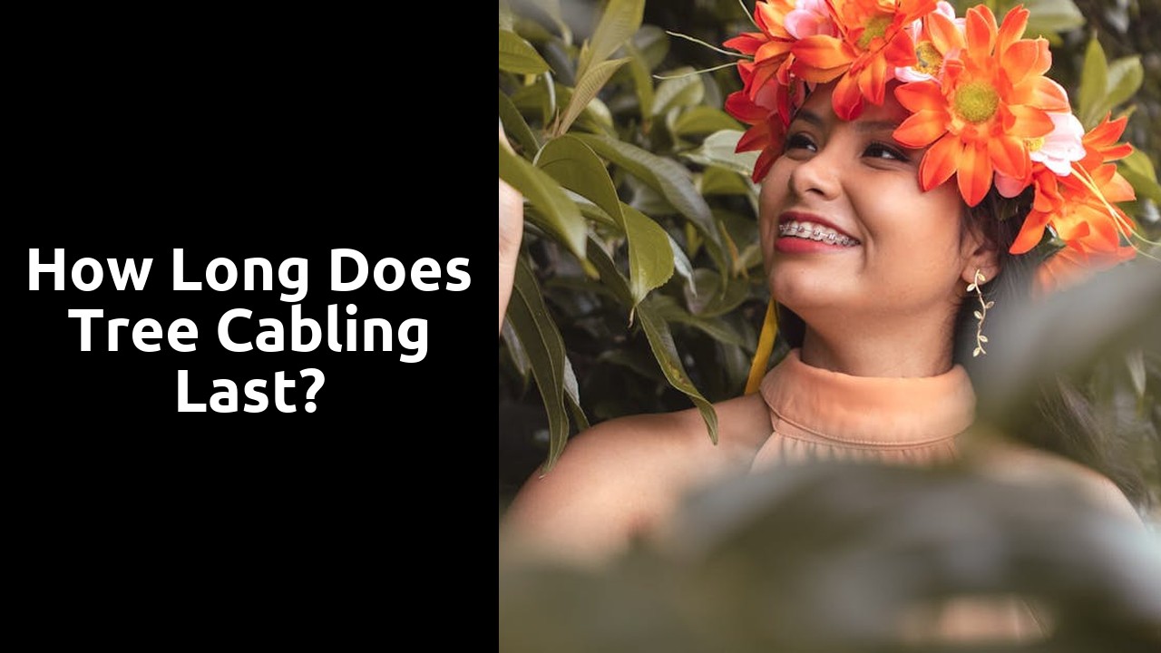 How long does tree cabling last?