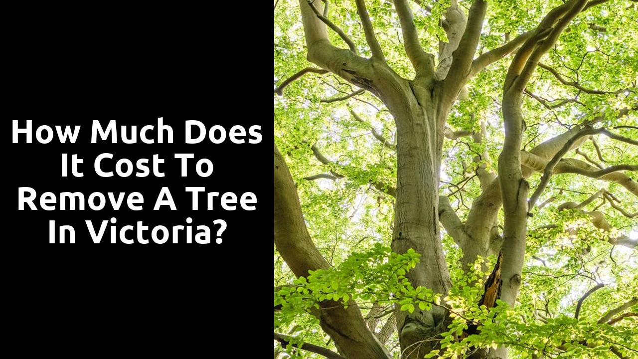How much does it cost to remove a tree in Victoria?