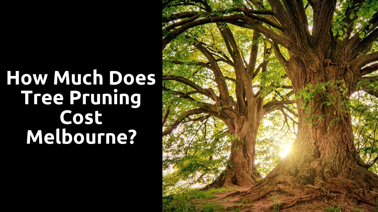 How much does tree pruning cost Melbourne?