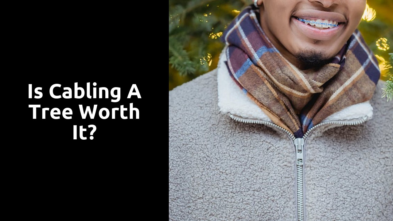 Is cabling a tree worth it?