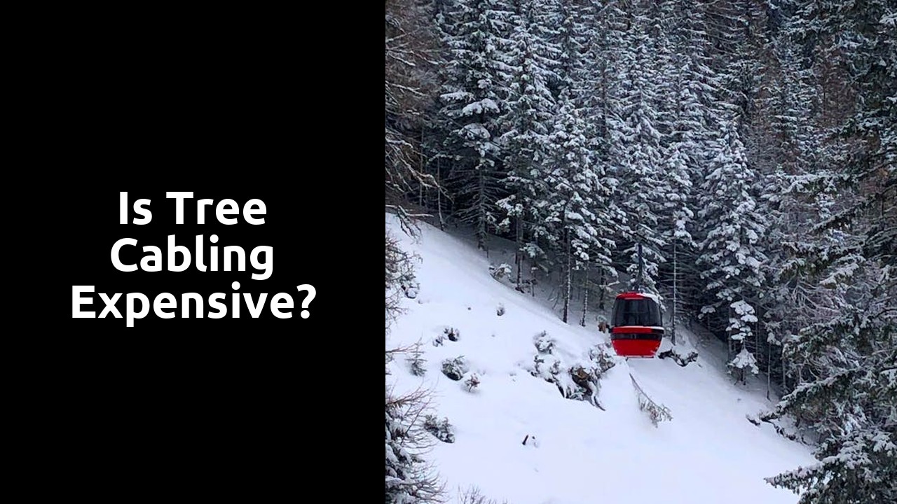 Is tree cabling expensive?