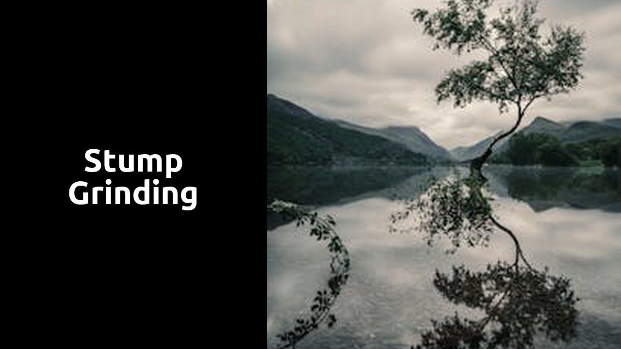 Stump Grinding