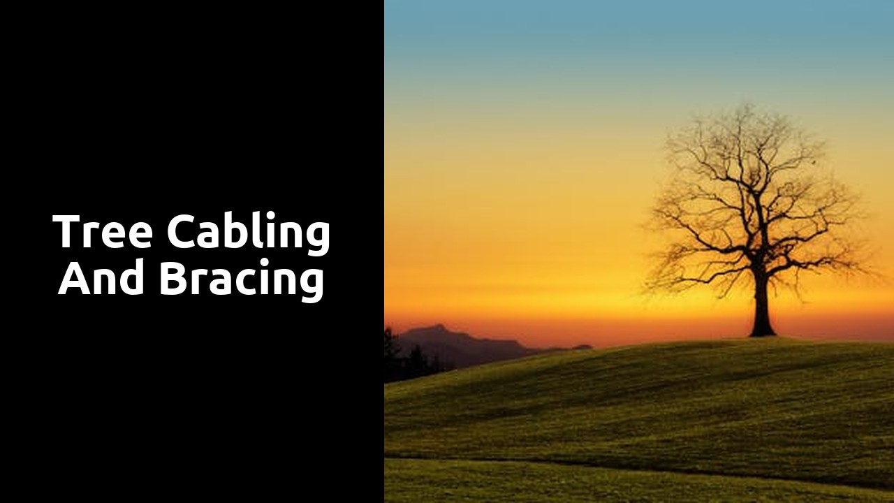 Tree Cabling and Bracing