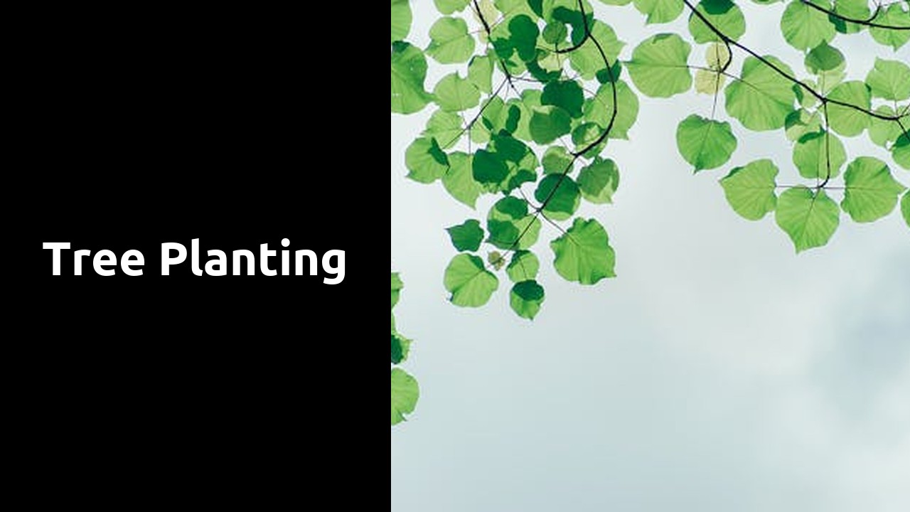 Tree Planting