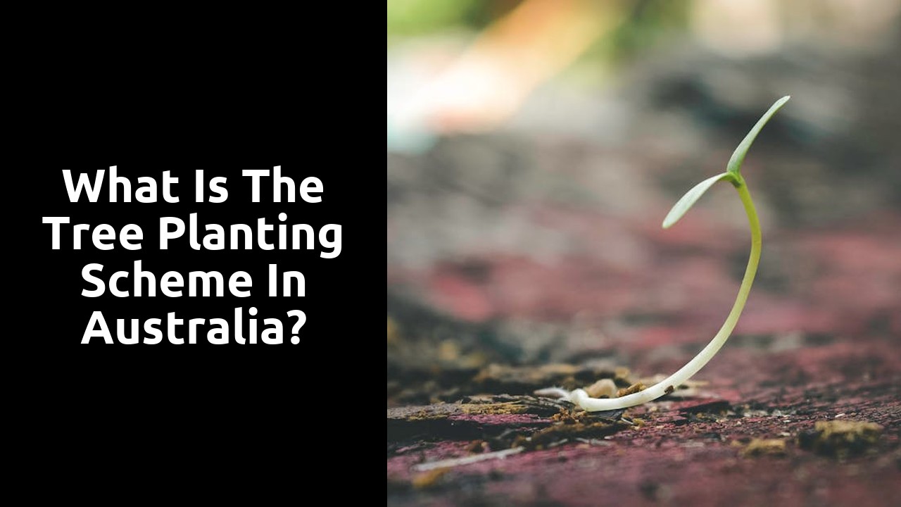 What is the tree planting scheme in Australia?