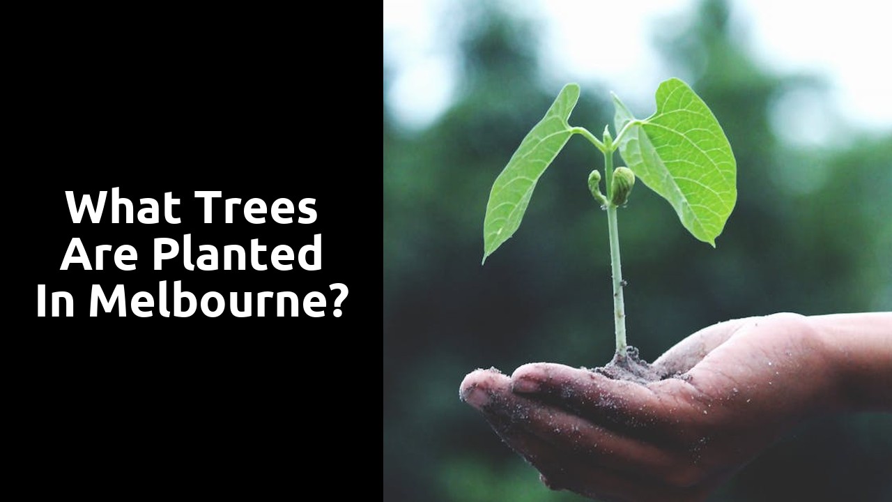 What trees are planted in Melbourne?